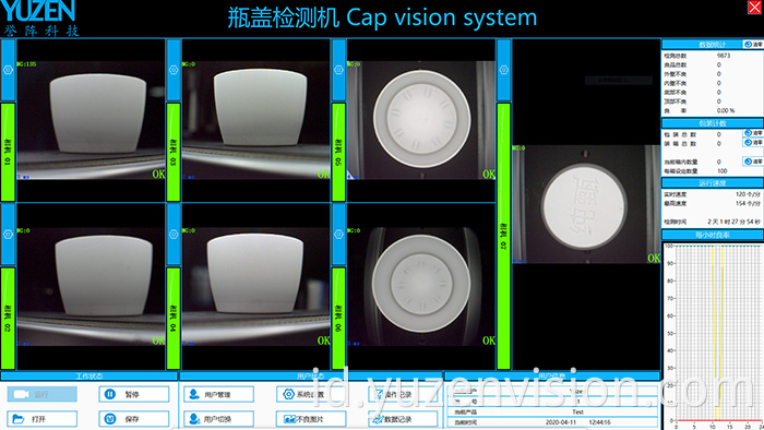 Automated Vision Inspection Systems for Appearance Defects